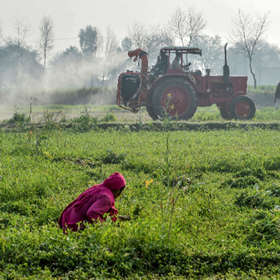 Agriculture image